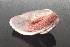 roségold glasig € 49