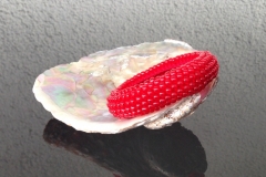 hellrot glasig  € 39