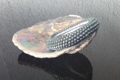 silbrig grün metallic glänzend  € 49
