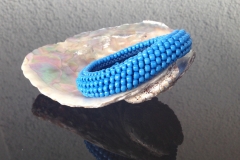 kornblumenblau glänzend  € 49