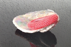 koralle glasig  € 39